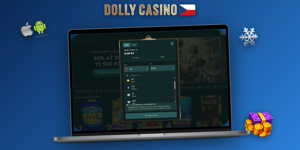 Dolly Casino metody vkladu přehledně zobrazené v rozhraní pokladny na notebooku